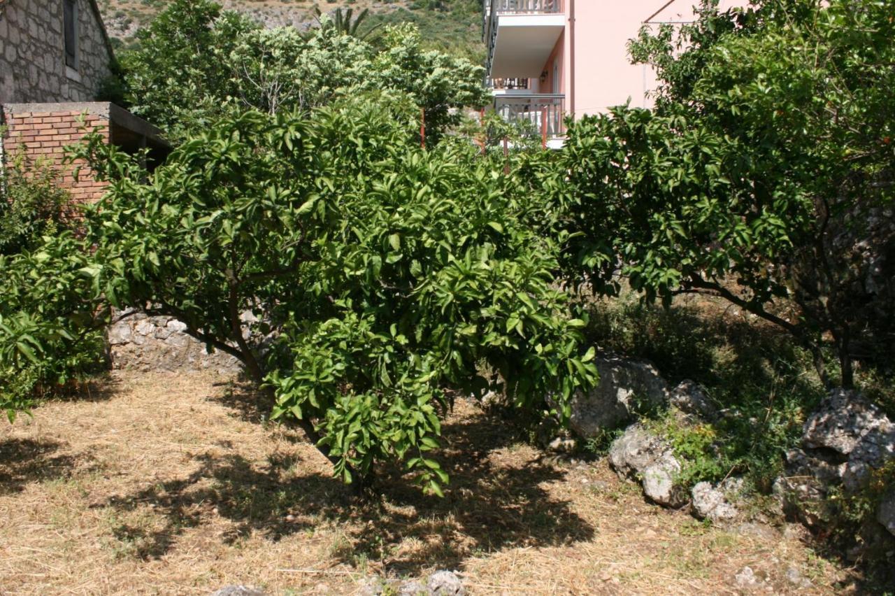 Apartments By The Sea Podaca, Makarska - 6874 Exteriör bild
